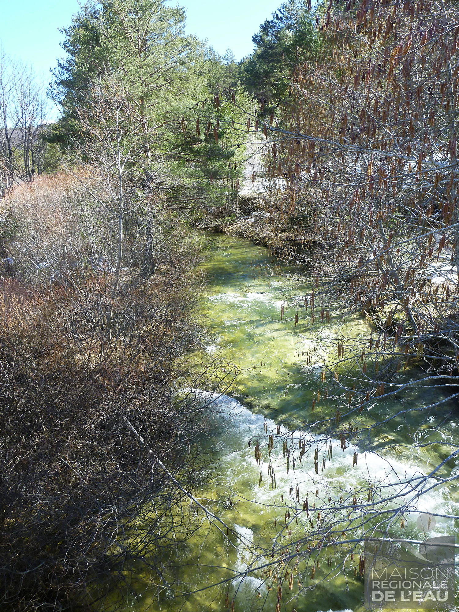 Ruisseau de la Faye