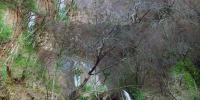 La cascade de Vegay sur le Riou de Vegay à Aiglun