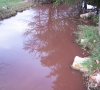 Pollution oléicole sur le ruisseau des écrevisses